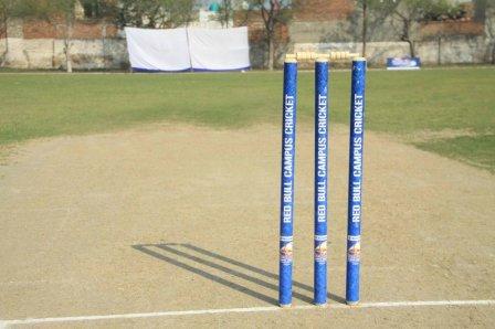 wickets_at_the_red_bull_campus_cricket